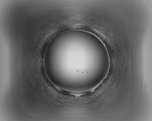 X0000113071447200908281145