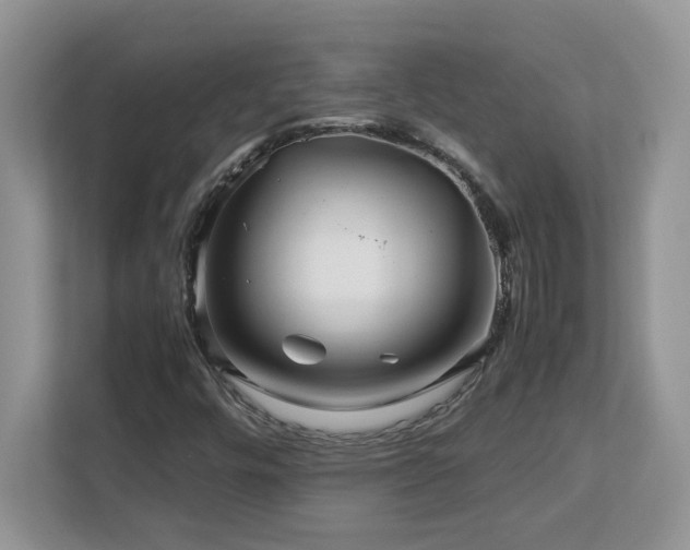 X0000113071448200908281145