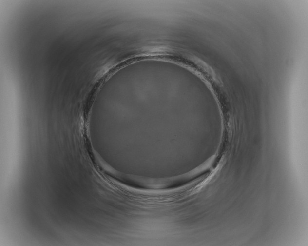 X0000113071449200908281145