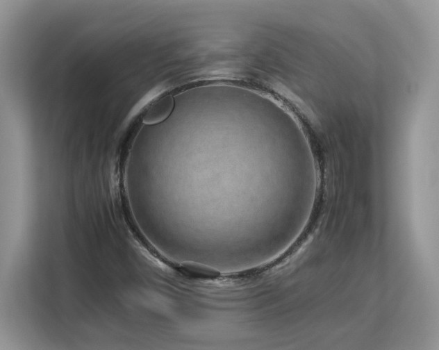 X0000113071450200908281145