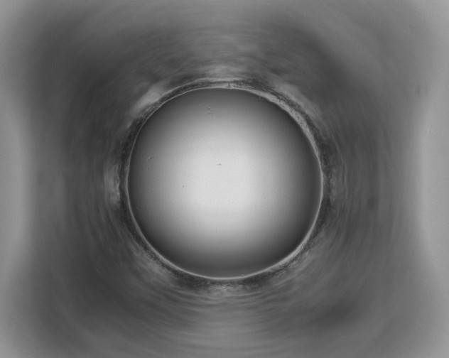 X0000113071451200908281145