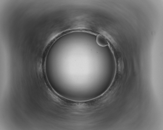 X0000113071452200908281145