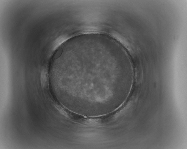X0000113071453200908281145