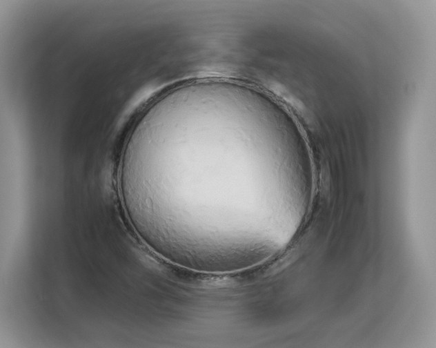 X0000113071454200908281145