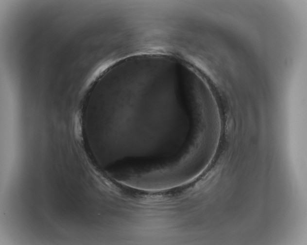 X0000113071455200908281145