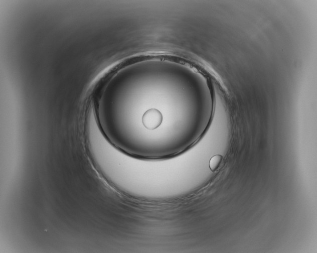 X0000113071456200908281144