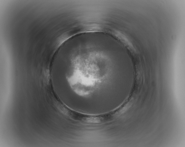 X0000113071457200908281144