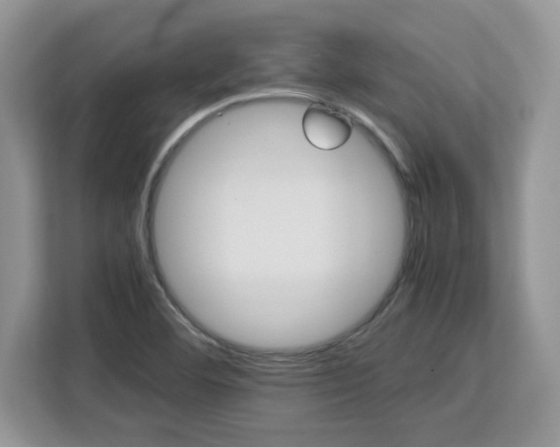 X0000113071460200908281144