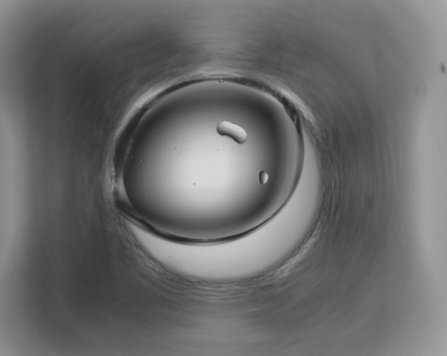X0000113071461200908281144