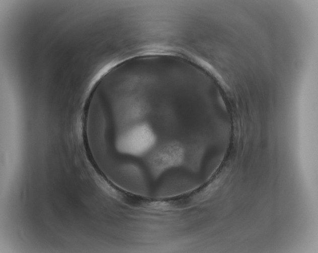 X0000113071463200908281144
