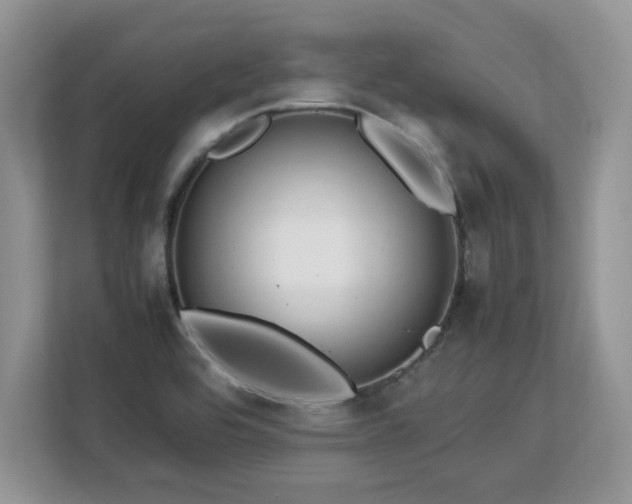 X0000113071464200908281144
