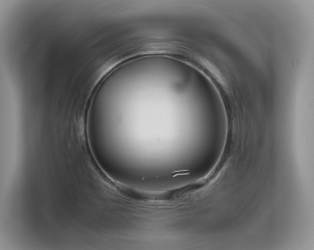 X0000113071465200908281144