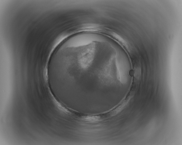 X0000113071466200908281144