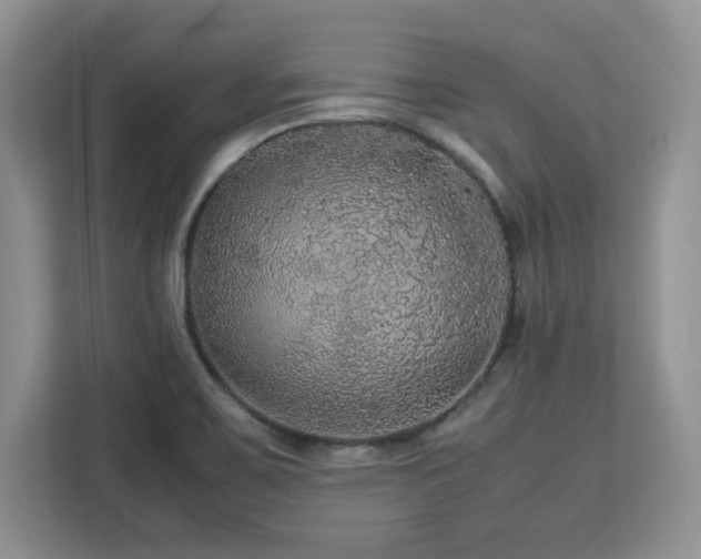 X0000113071467200908281144