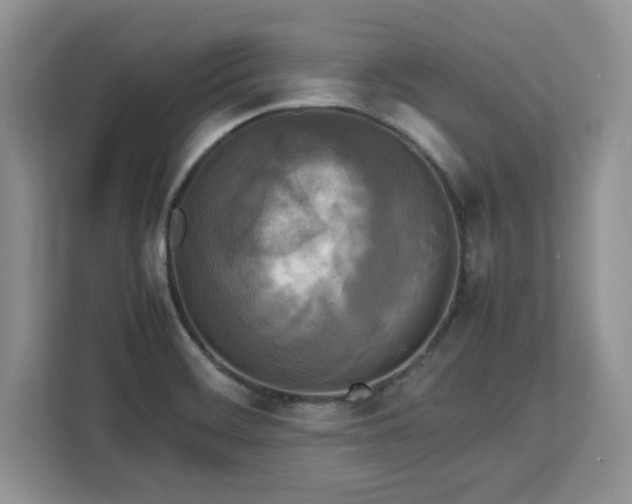 X0000113071468200908281144