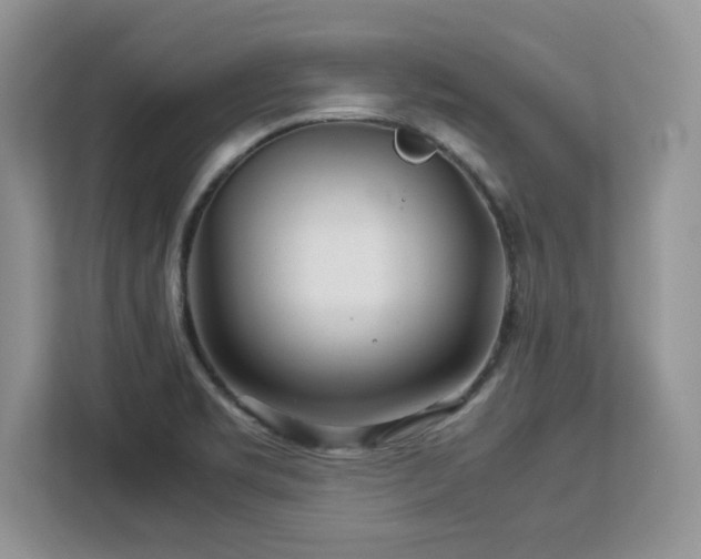 X0000113071469200908281144