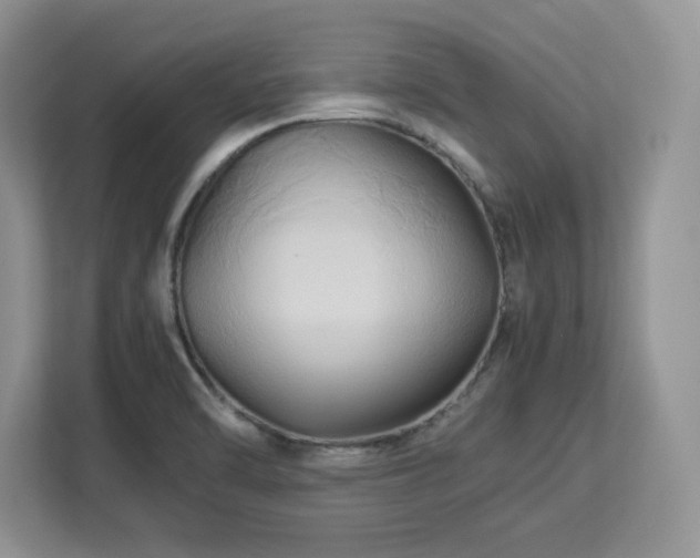 X0000113071470200908281144
