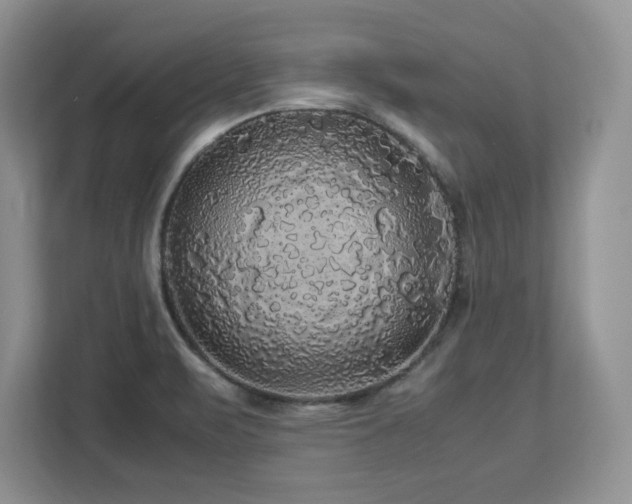 X0000113071471200908281144