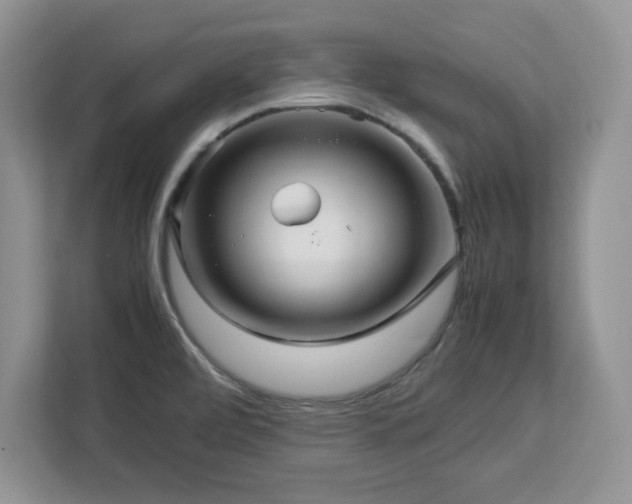 X0000113071472200908281144