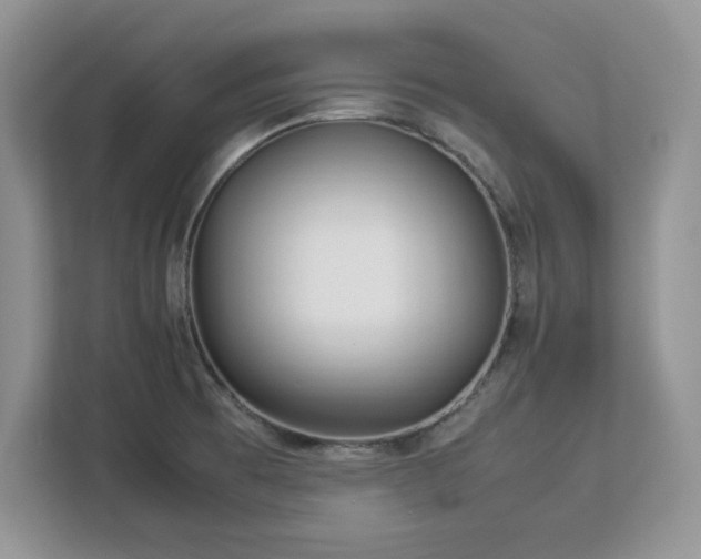 X0000113071473200908281144