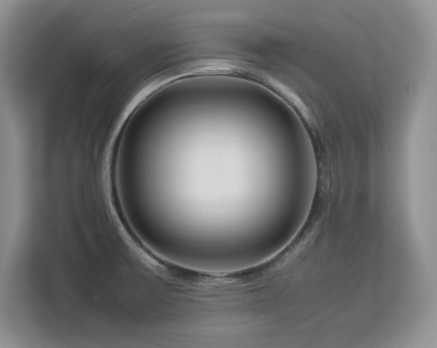 X0000113071475200908281144