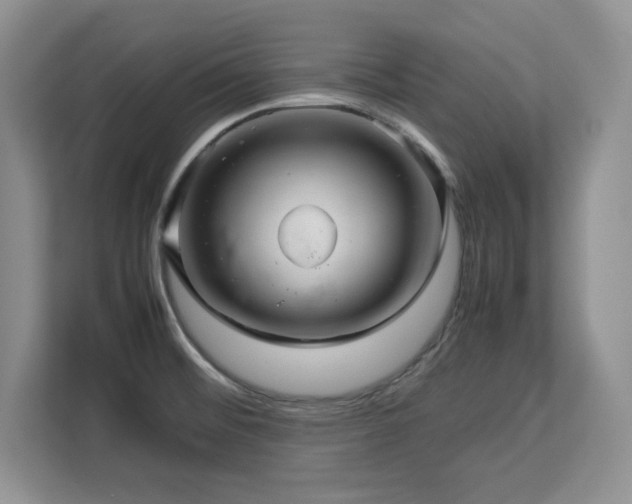 X0000113071476200908281144