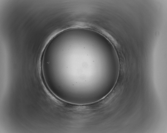 X0000113071479200908281144