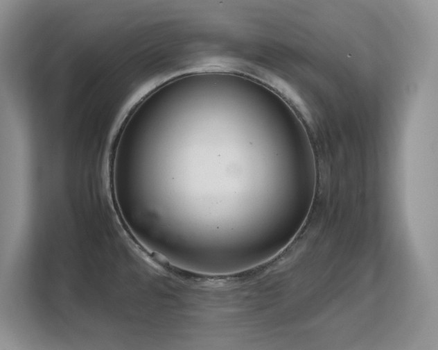 X0000113071480200908281144