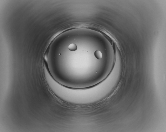 X0000113071481200908281144