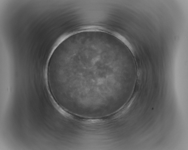 X0000113071482200908281144