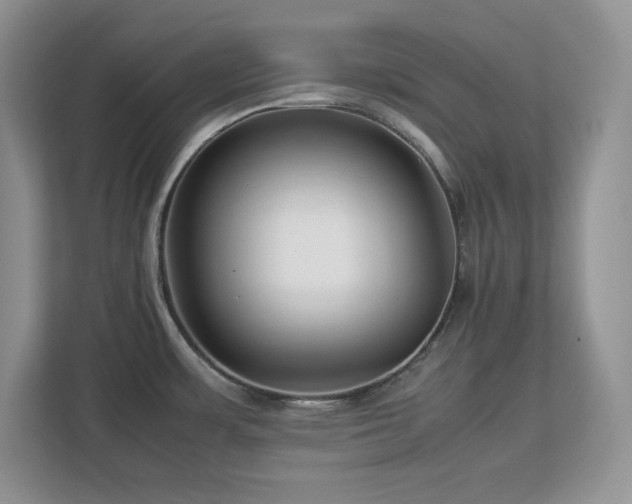 X0000113071483200908281144