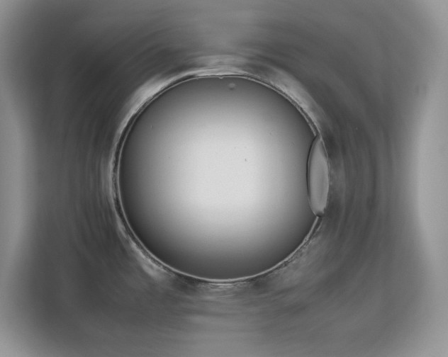 X0000113071485200908281144