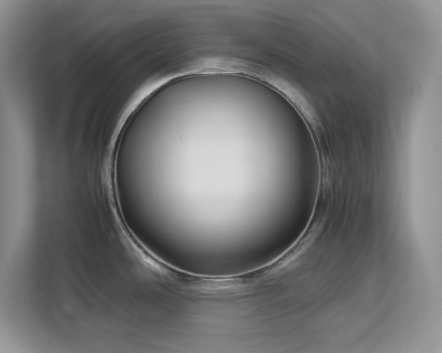X0000113071486200908281144