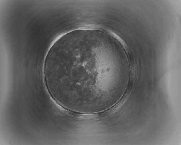 X0000113071487200908281144