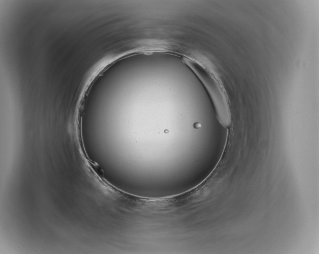X0000113071488200908281144