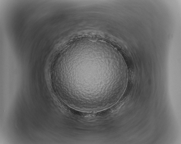 X0000113071489200908281143