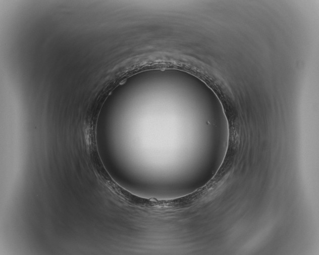 X0000113071490200908281143