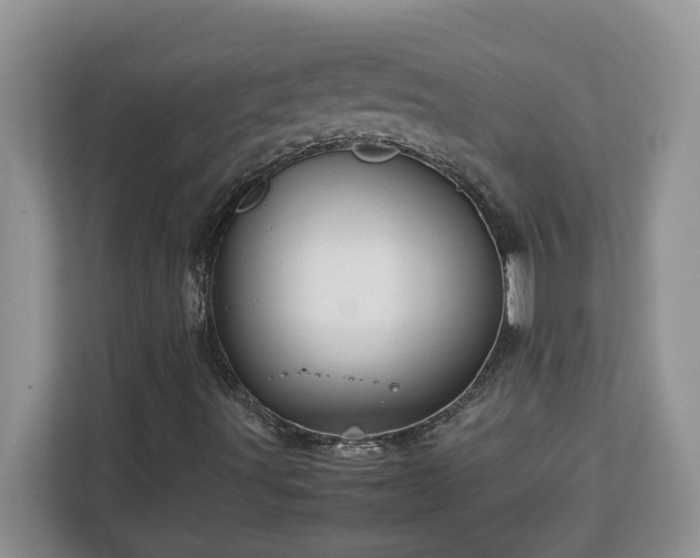 X0000113071491200908281143