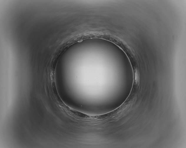 X0000113071492200908281143