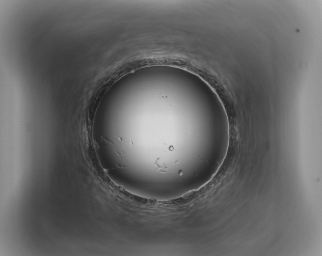 X0000113071493200908281144
