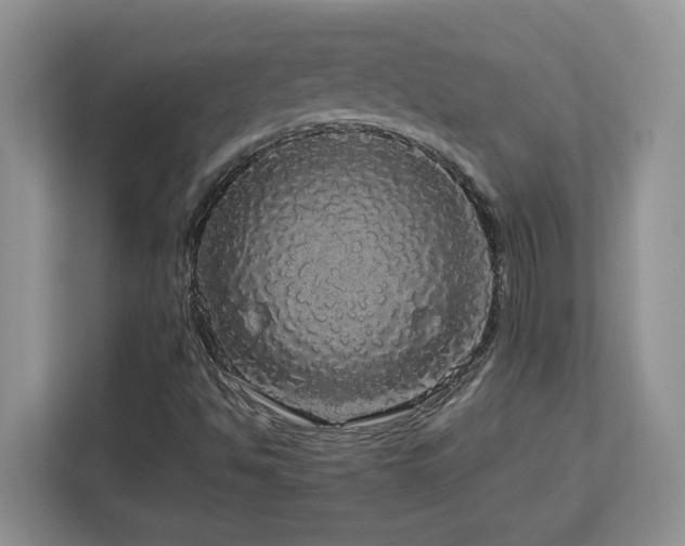 X0000113071494200908281144