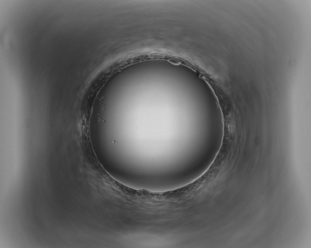 X0000113071495200908281144