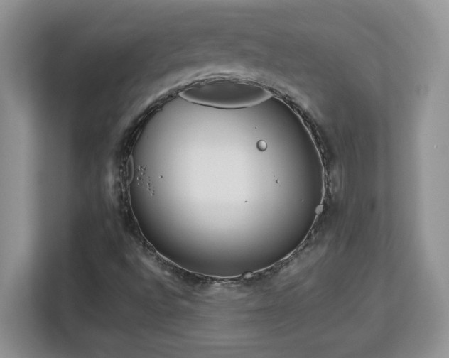 X0000113071496200908281144