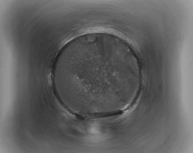 X0000113071497200908281144
