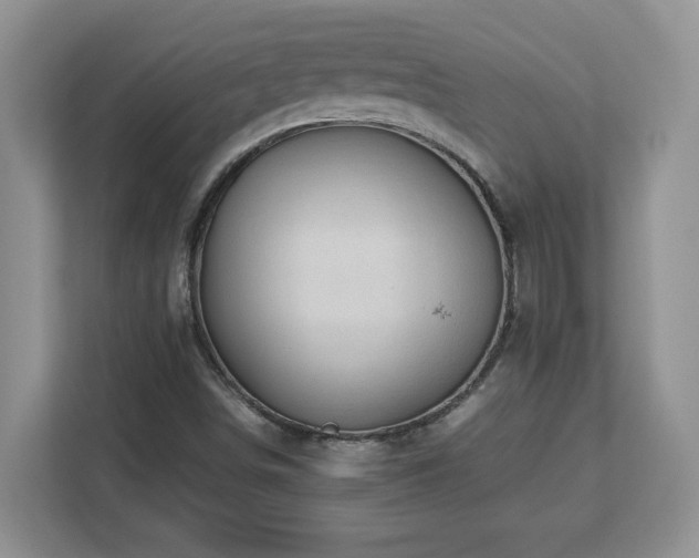 X0000113071498200908281144