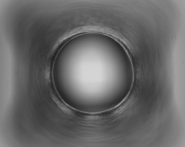 X0000113071499200908281144
