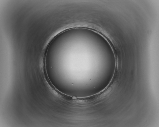 X0000113071500200908281144