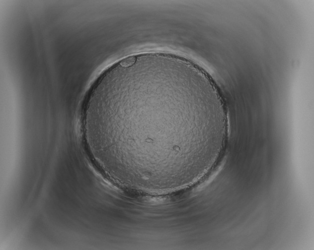 X0000113071501200908281144