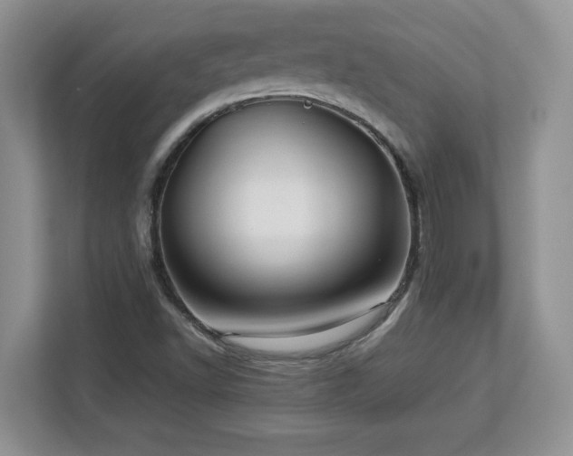 X0000113071502200908281144