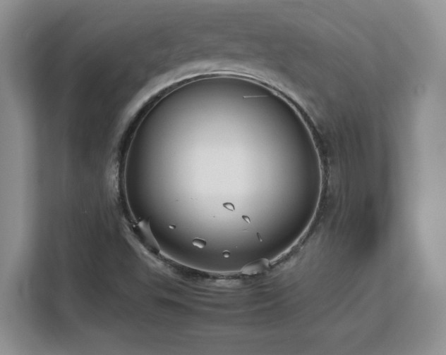 X0000113071503200908281144